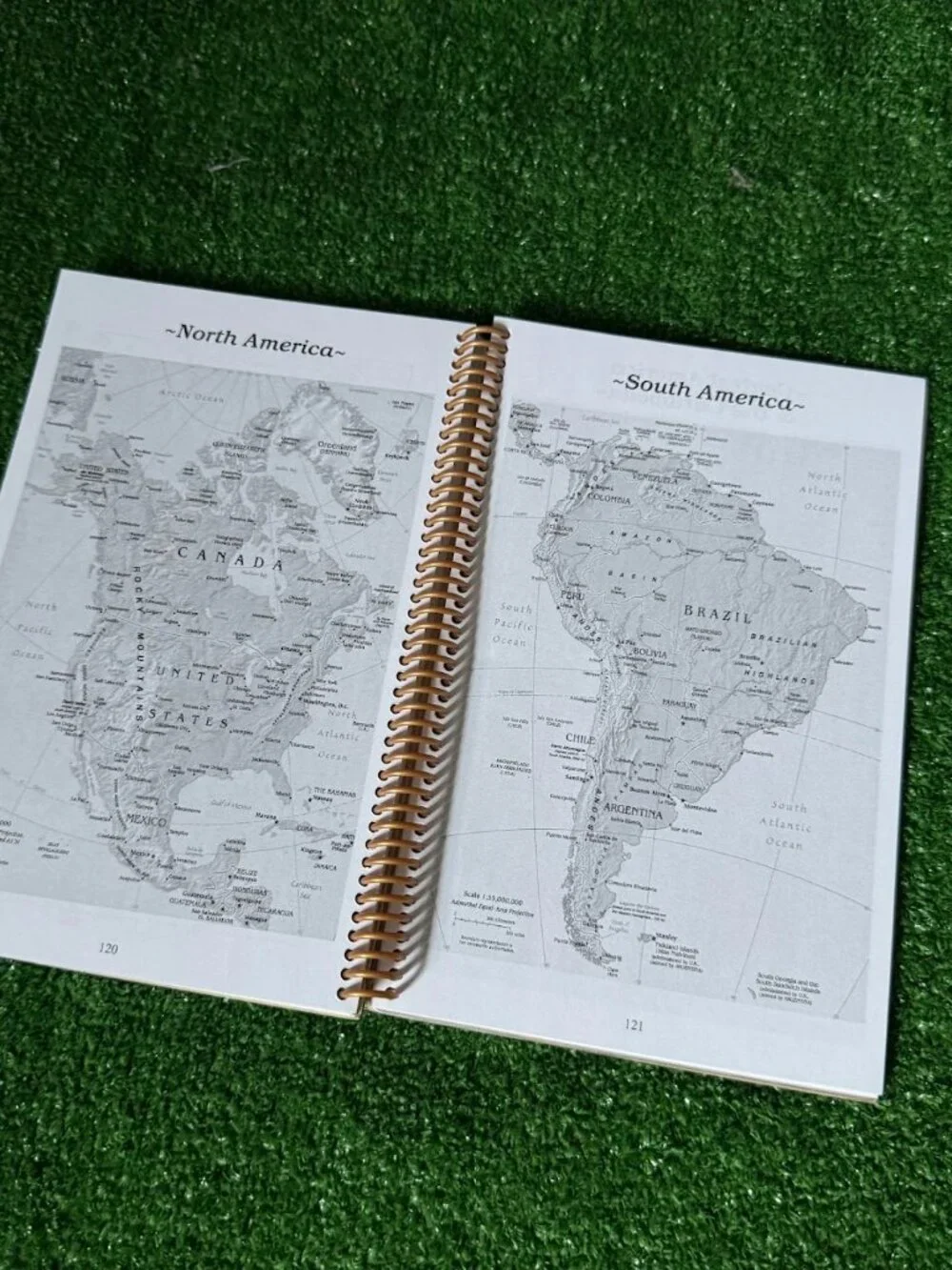 CruiseMinder journal vacation